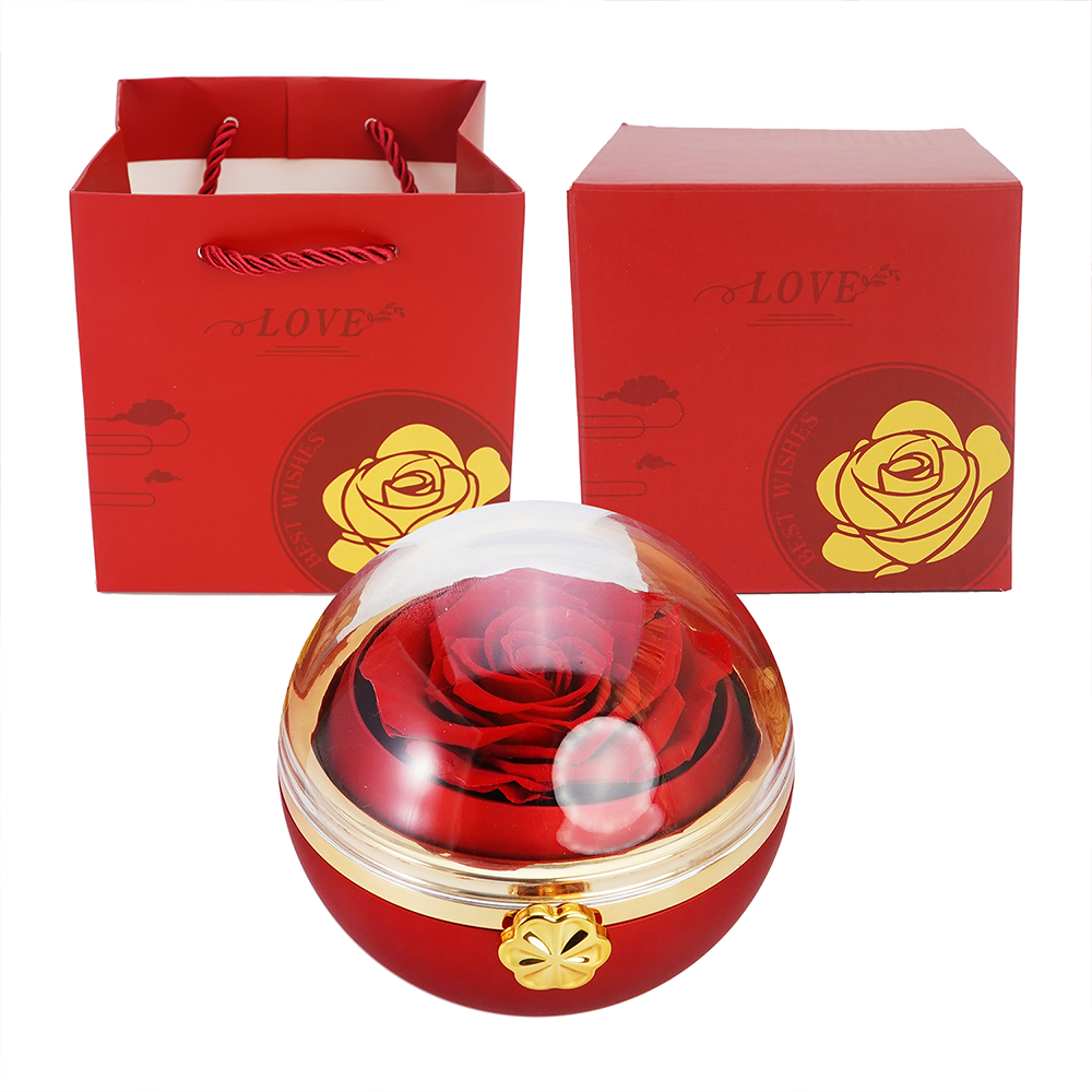 Forever Interlocked Hearts - Necklace & Rose Gift