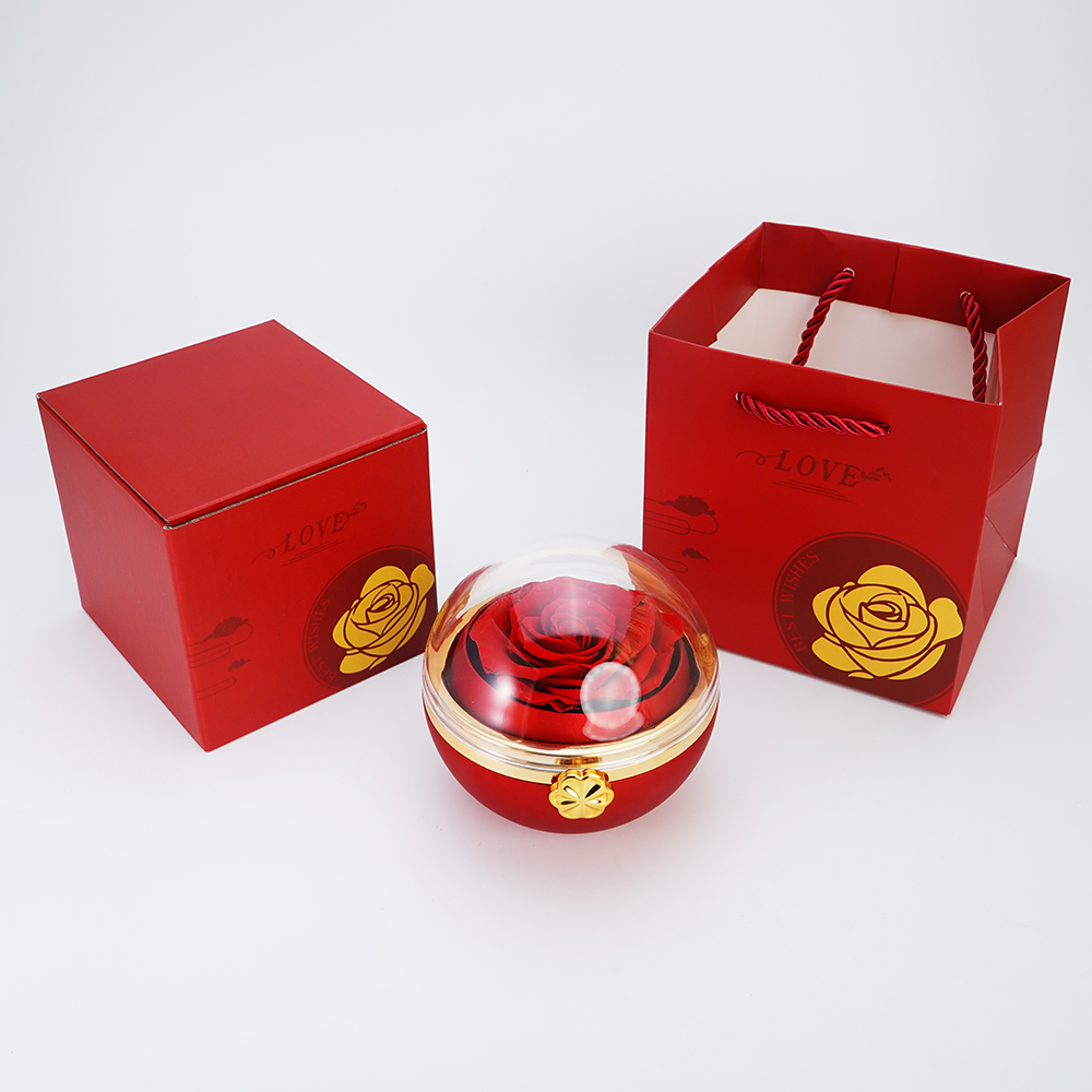 Forever Interlocked Hearts - Necklace & Rose Gift